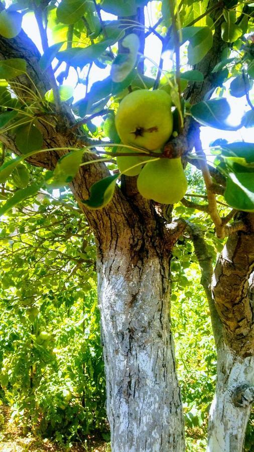 Apartamento Aira Himarë